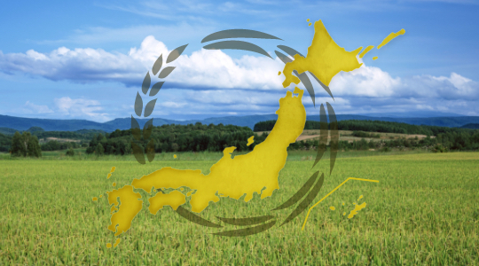 金芽米 銘柄米シリーズ