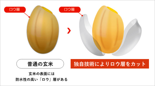 従来の玄米のデメリットを解消！