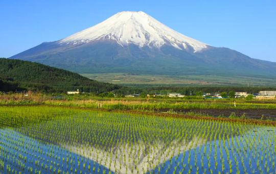 富士山