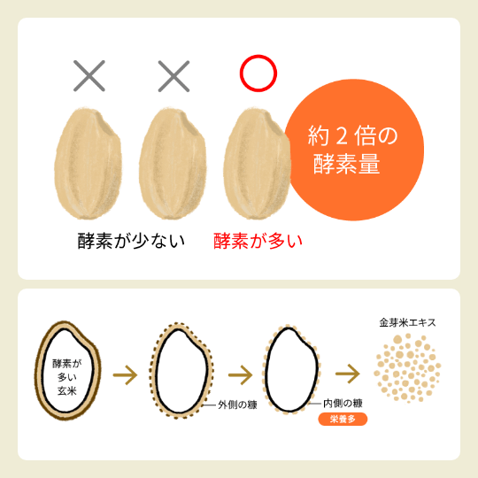 酵素測定