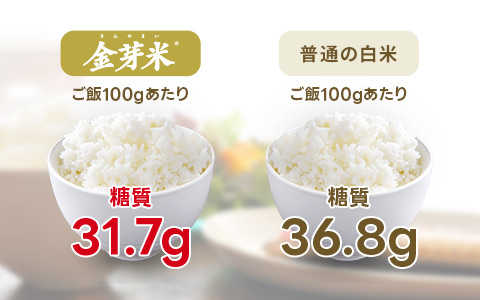 糖質比較