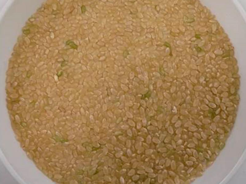 金芽ロウカット玄米炊飯前
