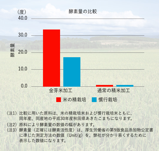 酵素量の比較