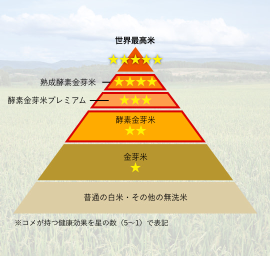 コメの新しい「格付け」表