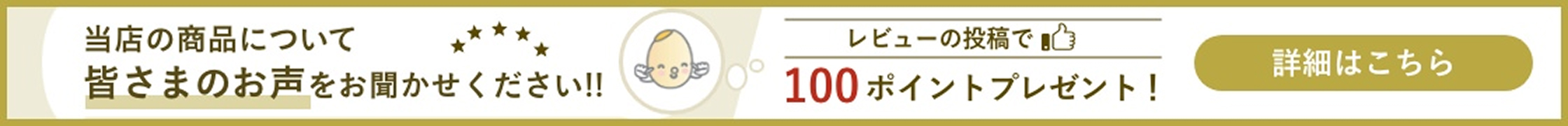 レビューの投稿で100ポイントプレゼント