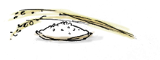 稲