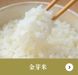金芽米
