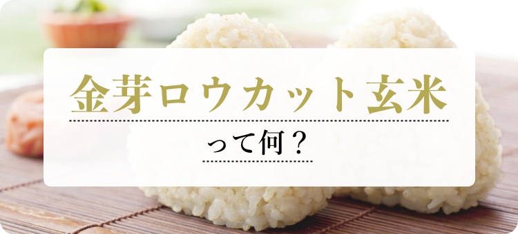 ☆お試し商品☆金芽ロウカット玄米 4kg （2kg×2袋） 【送料無料】 | 金