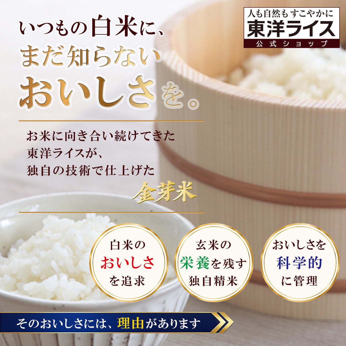 金芽米 ゴールドセレクト 10kg（5kg×2袋） 【送料無料】 | 金芽米