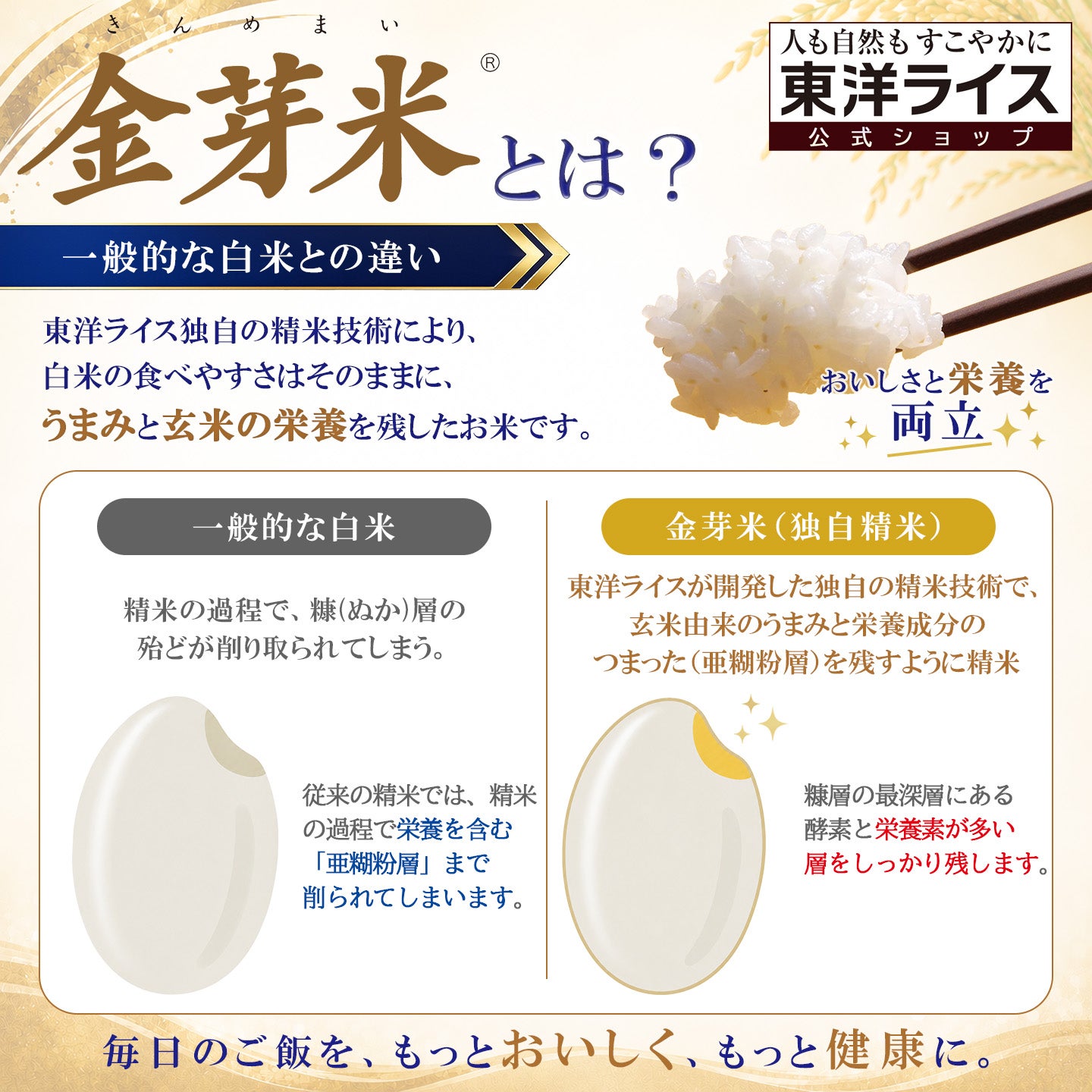 金芽米 ゴールドセレクト 10kg（5kg×2袋） 【送料無料】 | 金芽米