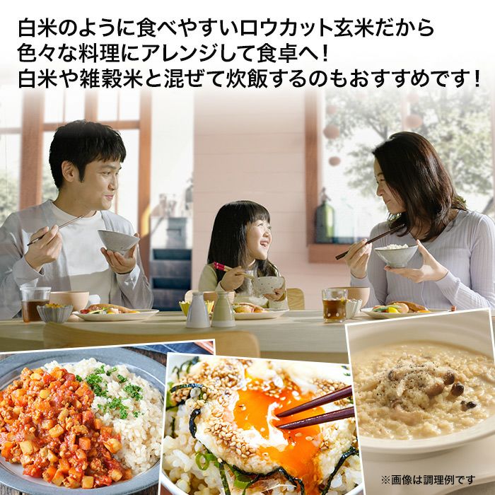 □定期お届け便□ 金芽ロウカット玄米 4kg（2kg×2袋） 【送料無料