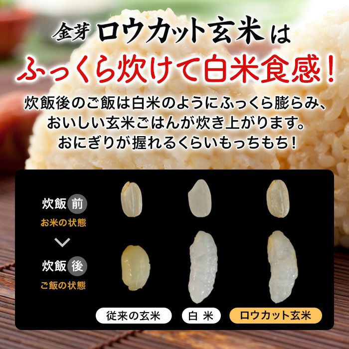☆お試し商品☆金芽ロウカット玄米 4kg （2kg×2袋） 【送料無料】 | 金